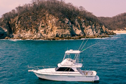 Charter Motorboat Cabo 35 Fly Santa María Huatulco