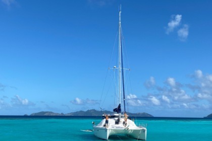 Miete Katamaran Privilege Marine Privilege 435 Leeward Inseln