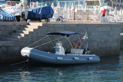 Charter Boat without licence  Marshall Suzuki Suzuki 40cv Recco