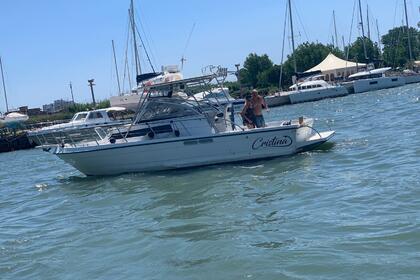 Noleggio Barca a motore Polyform Triakis C29 Fiumicino