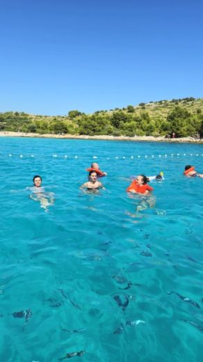 Zara RIB Aquamax Aquamax B23 alt tag text