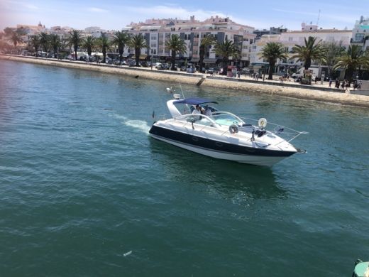 Motorboat FAIRLINE TARGA 34 Boot Grundriss