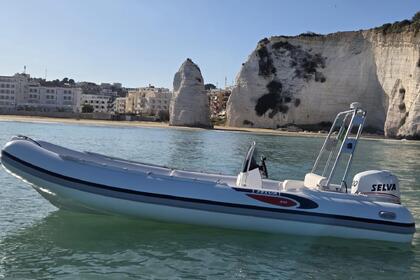 Hire RIB Selva Selva D.590 Vieste