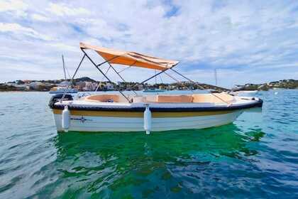 Charter Boat without licence  Marion 450 Santa Ponsa