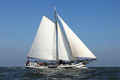 Miete Segelyacht Custom Klipper Rival Enkhuizen