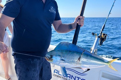 Noleggio Barca a motore polymade 780 open Chiclana de la Frontera