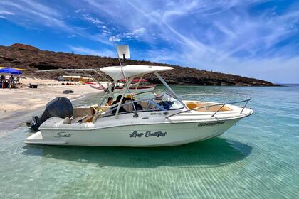 Rental Motorboat Scout 2006 La Paz