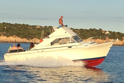 Charter Motorboat Chris Craft 31 commander sports express Porto Rotondo