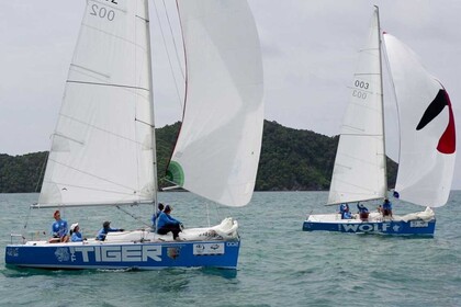 Hire Sailboat The Platu One Design Class The Tiger Phuket