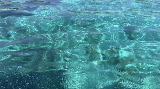 Trogir Motorboat Atlantic 670 Open alt tag text