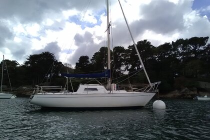 Location Voilier Mallard Ecume De Mer Douarnenez