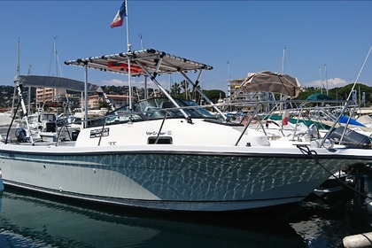 Charter Motorboat Bayliner TROPHY 2052 WA PRO Golfe Juan