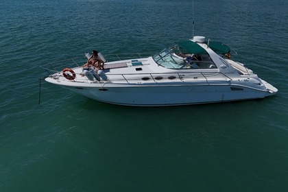 Hire Motorboat SEA RAY 370 SUNDANCER Sant Antoni de Portmany