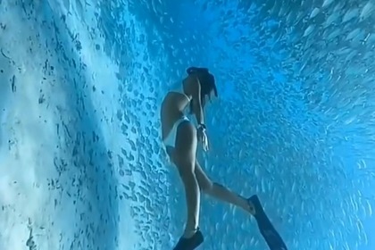 Verhuur Motorboot Fairline Corniche 31 Antibes