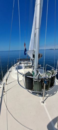 Stad aan 't Haringvliet Sailboat Van de Stadt Van de Stadt 36  seal alt tag text