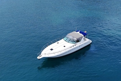 Charter Motorboat Sea Ray 400 Express Cruiser Kolymvari