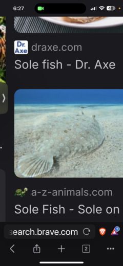 Moorea Catamaran Nautitech Mautitech 40 alt tag text