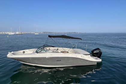 Verhuur Motorboot Sea Ray SPX 210 Cannes