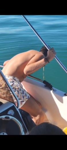 Málaga Without license VORAZ 500 alt tag text