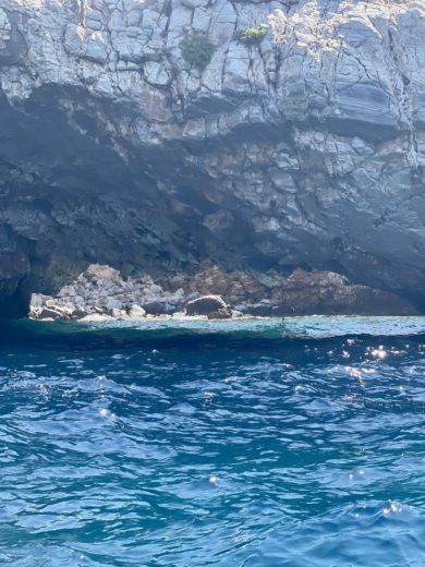 Parikiá RIB Typhoon Open alt tag text