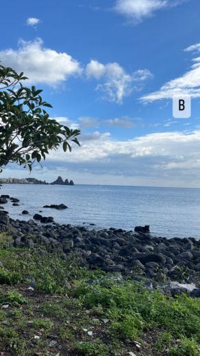 Motorboat Regal Commodore 258 Boat layout