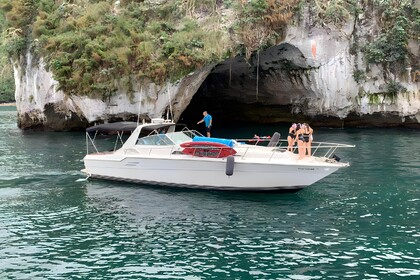 Charter Motorboat Sea Ray Sea Ray 46 Puerto Vallarta