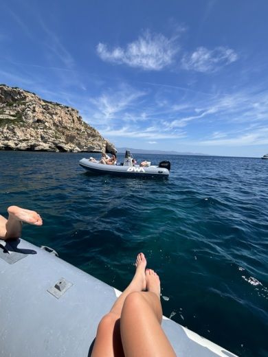 Cagliari Without license Bwa 550 alt tag text