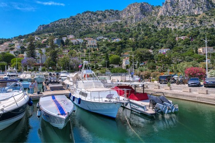 Aluguel Lancha PEARSON SPORT FISHERMAN Beaulieu-sur-Mer