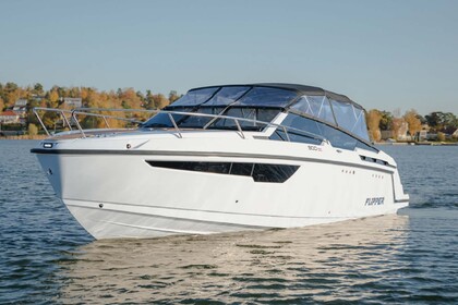Charter Motorboat Flipper 900 DC Wilkasy