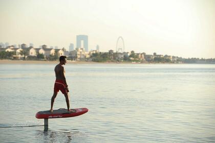 Rental Motorboat Saxdor 320 GTC Hydra