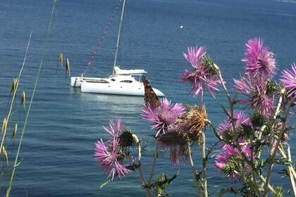 Verhuur Catamaran Looping 50 Hyères