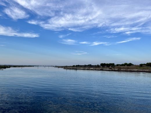 Le Barcarès Motorboat BENETEAU FLYER SUN DECK alt tag text