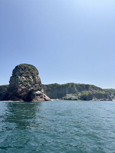 Biarritz Motorboat Capelli Tempest 600 alt tag text