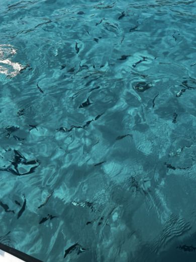 Minorca Motorboat BMA 221 X222 alt tag text