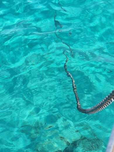 Athens Motorboat WAVE RUNNER 50 alt tag text