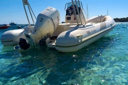 Aluguel Semi Rígido Bsc Bsc 57 Bonifacio