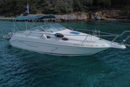 Miete Motorboot Sea Ray 250 Lefkada