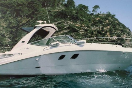 Rental Motorboat Sea Ray SUNDANCER 335 Monaco