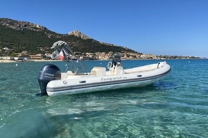 Location Semi-rigide Capelli tempest 650 Tempest 650 L'Île-Rousse