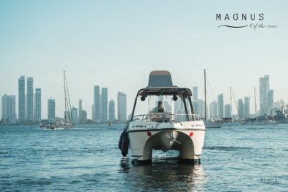 Location Bateau à moteur YatchCat 2008/2015 Carthagène