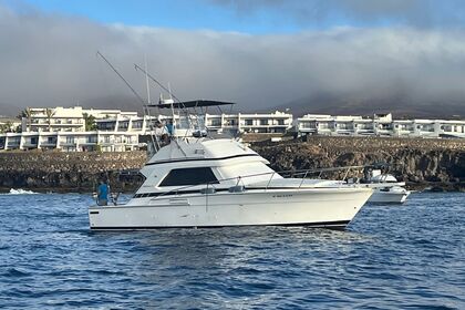 Hire Motorboat Bertram 37 Playa Blanca