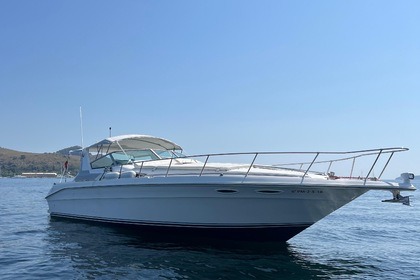 Hire Motorboat Sea Ray 400 Sun Sport Port de Pollença