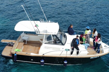 Charter Motorboat portofino Marine 750 WA Otranto