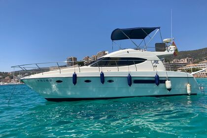 Miete Motorboot Azimut 36 Palma de Mallorca