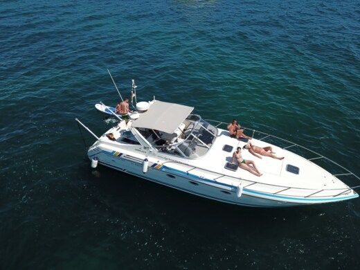 Motorboat Cranchi Cranchi Mediteranee 40 Boot Grundriss