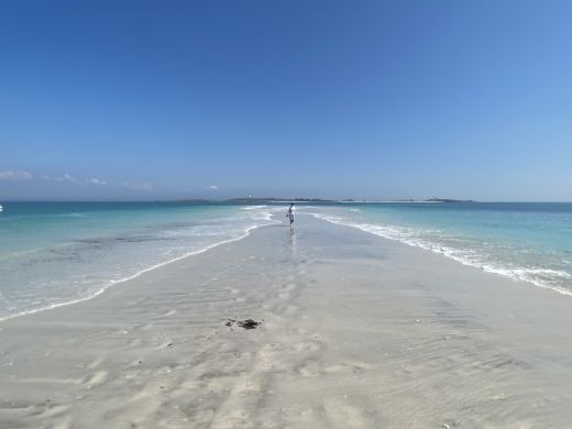 La Forêt-Fouesnant RIB Tarpon DV65 alt tag text