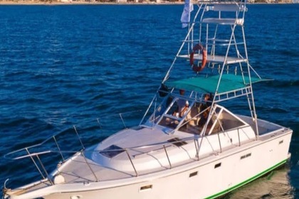Charter Motorboat Luhrs 360 Sport Mazatlán