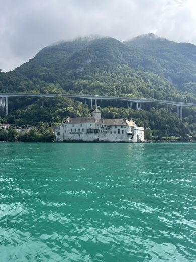 Évian-les-Bains Motorboat Sea Ray 190 Spx alt tag text
