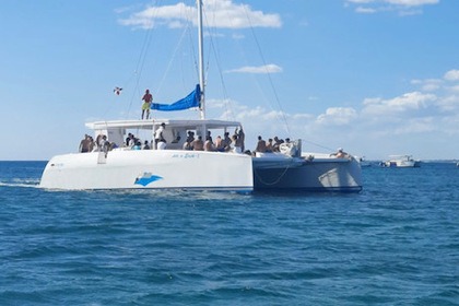 Alquiler Catamarán CUSTOM CAT 56 FEET CAT Bayahibe