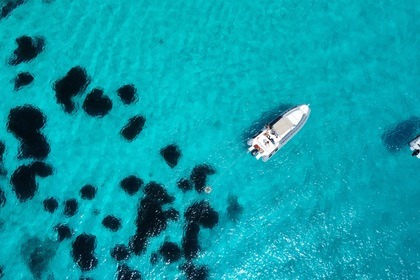 Alquiler Neumática Marina Arturo Stabile Asso 75 Myth Trapani